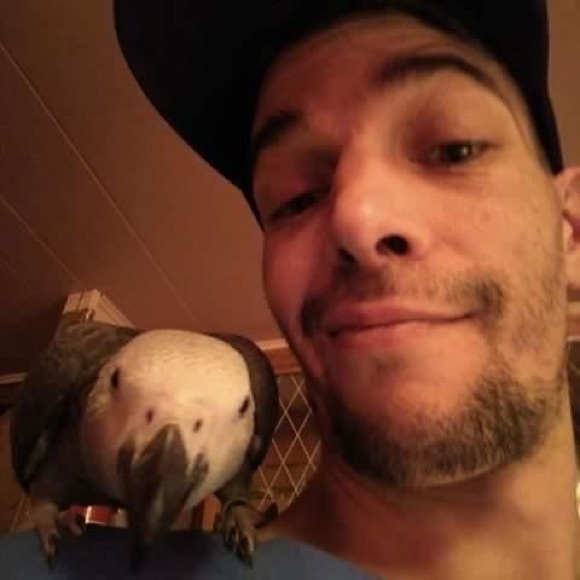 Meet your Posher, Amos - Picture 2 of 3